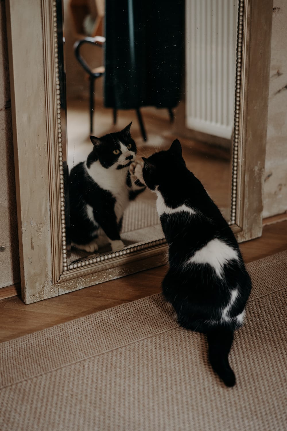 Et si votre intérieur racontait une histoire… plutôt que de suivre une tendance ?